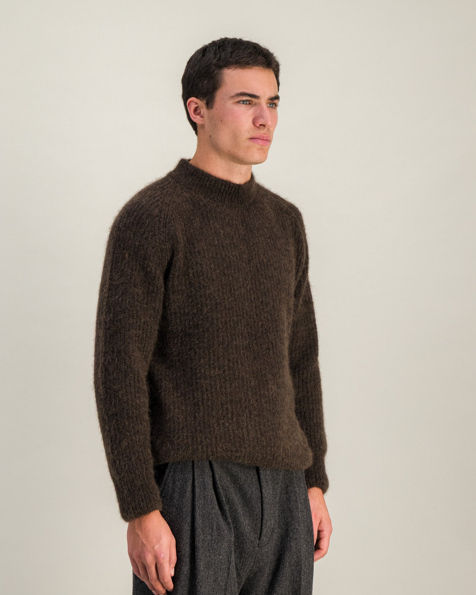 Pull Halo marron