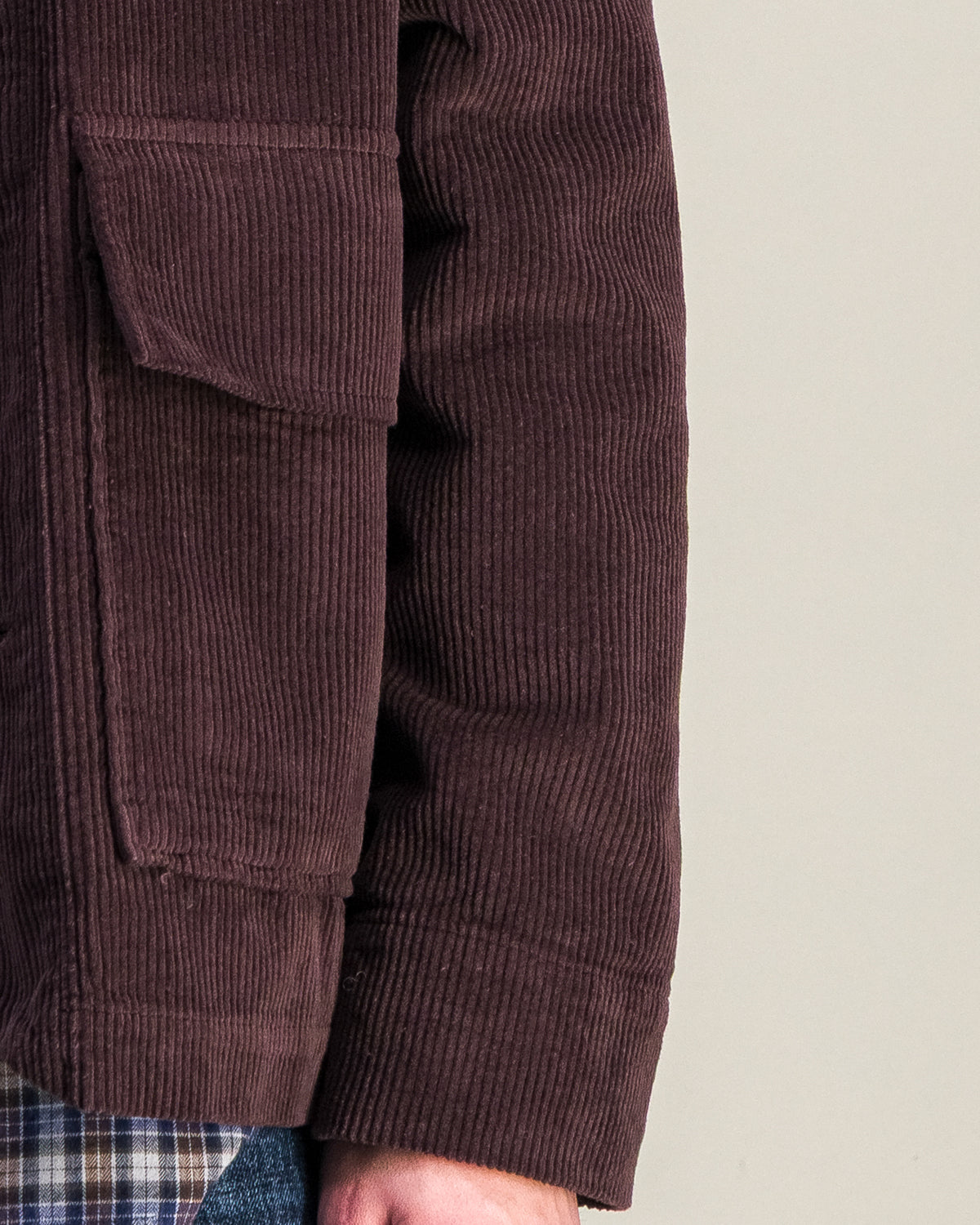 Veste Dubliner Cord prune